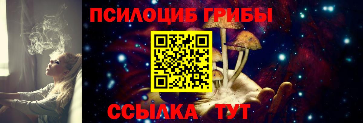 Галлюциногенные грибы Cubensis Урус-Мартан